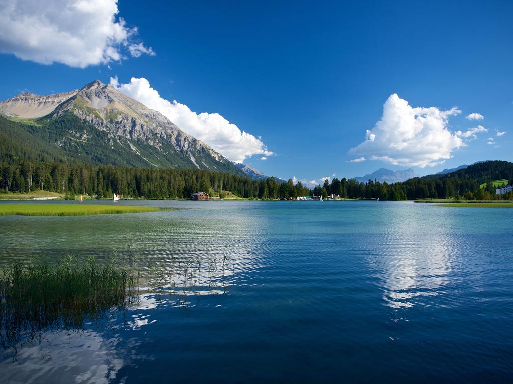 Schweizerhof Ferienwohnungen Lenzerheide 1 Eksteriør bilde